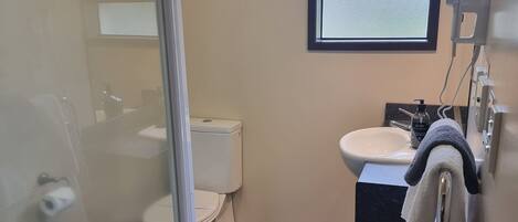 A bathroom with a glass shower door, a toilet, a sink with a towel rack, and a window providing natural light.