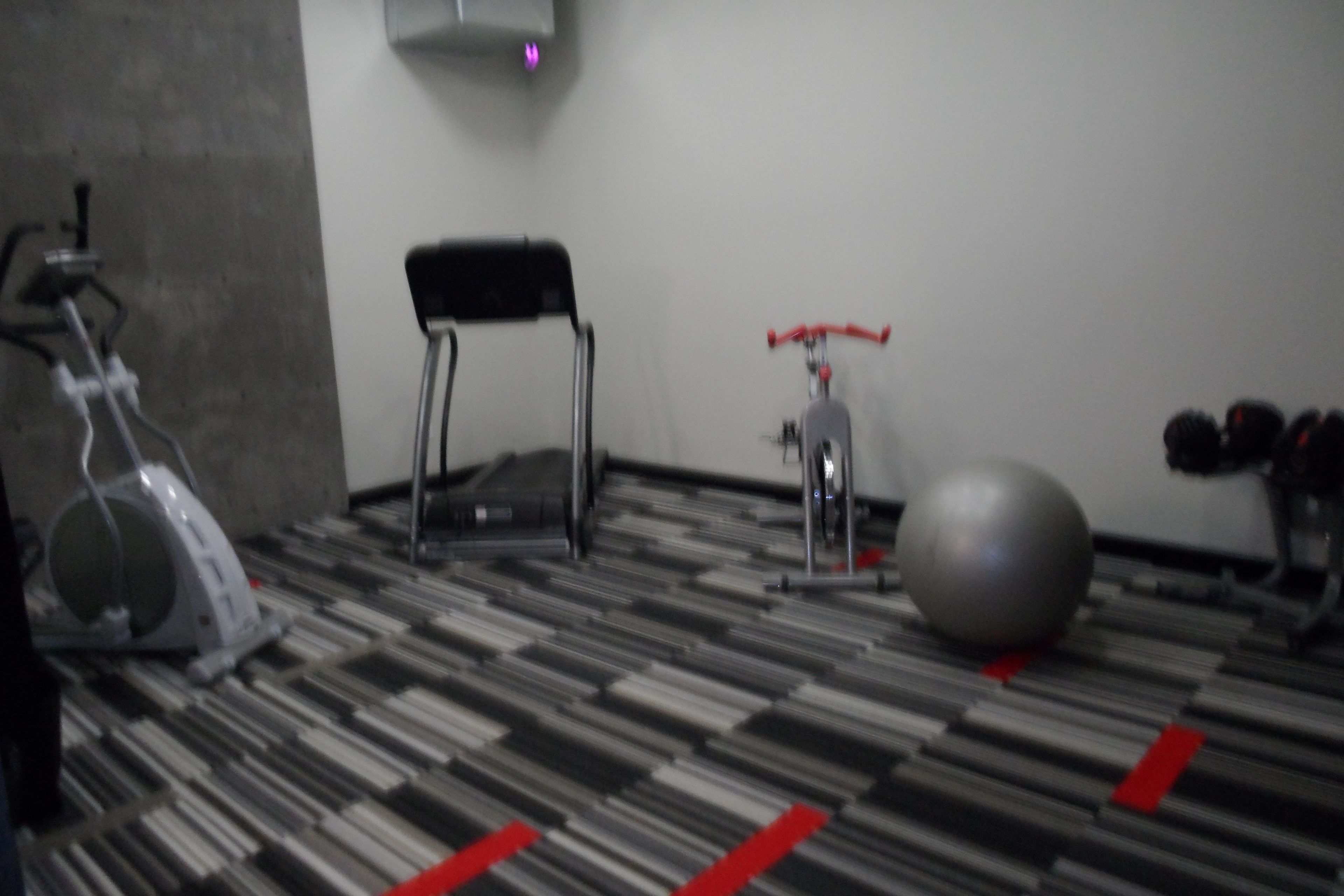 A gym with exercise equipment, a stationary bike, a rowing machine, and a large exercise ball.