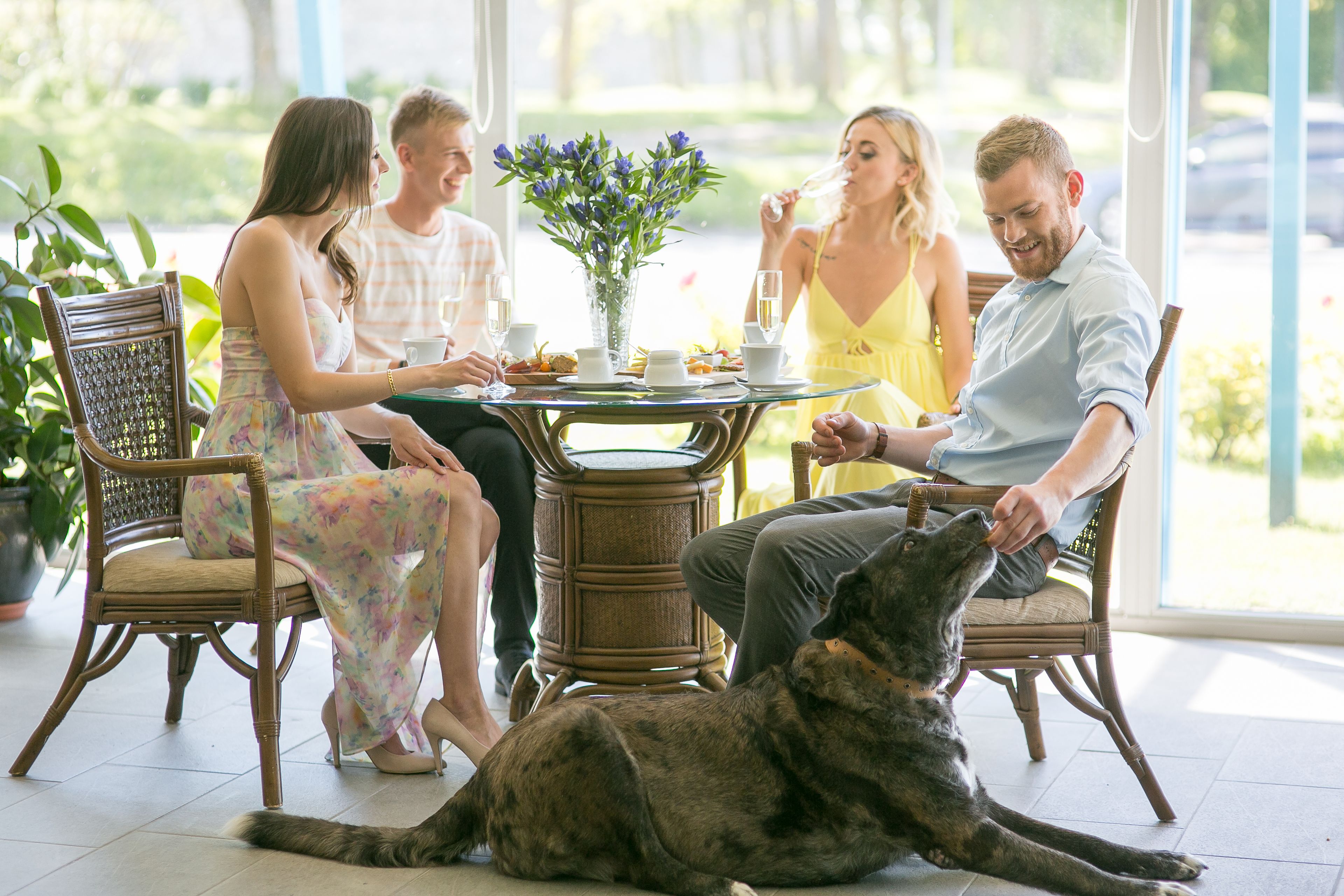 Un grupo de personas sentadas alrededor de una mesa con un perro acostado delante.