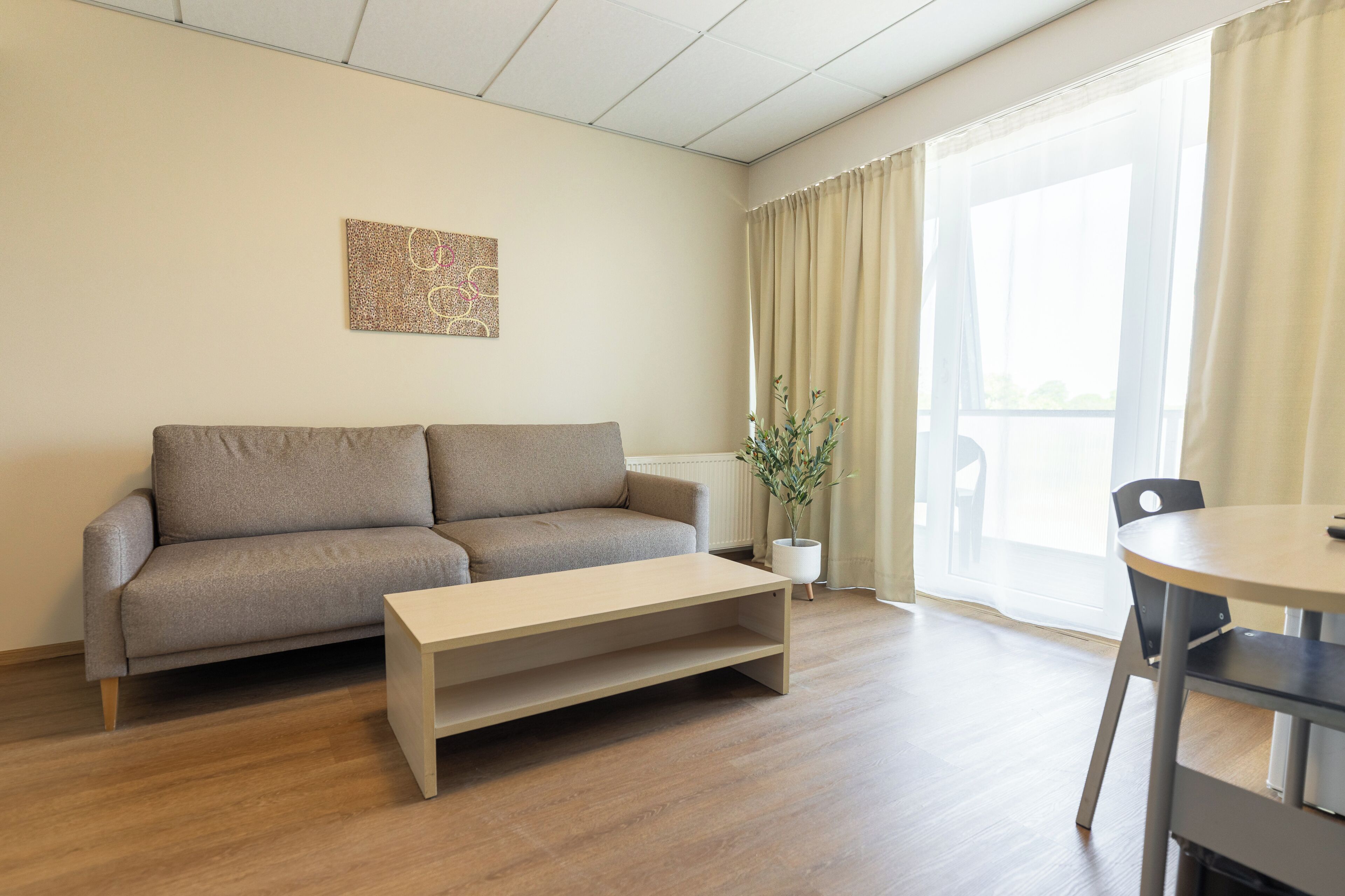 A living room with a sofa, a coffee table, a potted plant, and a dining table.