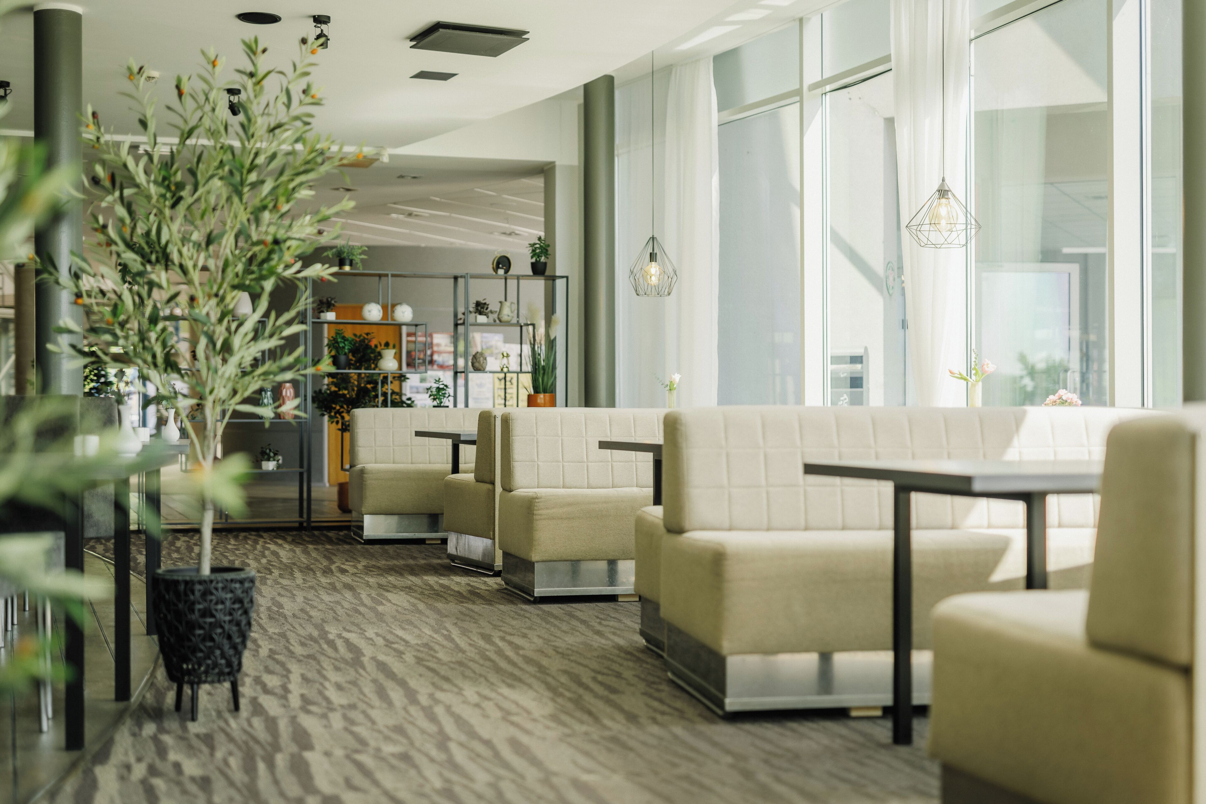 Een modern interieur met een zithoek, een plant en een keuken op de achtergrond.