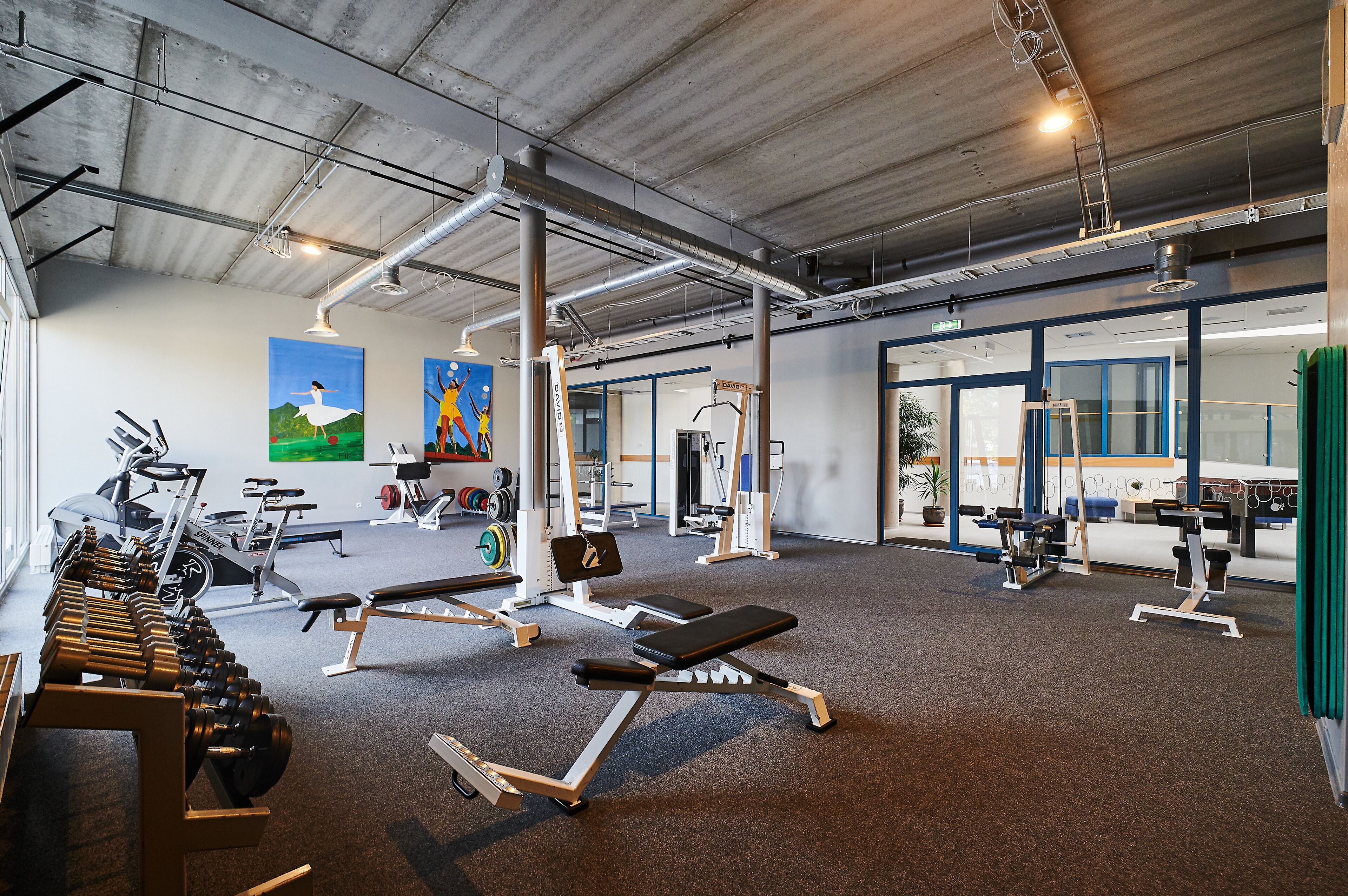 Ein Fitnessstudio mit verschiedenen Trainingsgeräten, darunter Kurzhanteln, Bänke und Kraftgeräte.