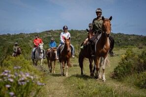 Un groupe de personnes à cheval, évoluant sur un sentier herbeux, avec un paysage vallonné en arrière-plan.