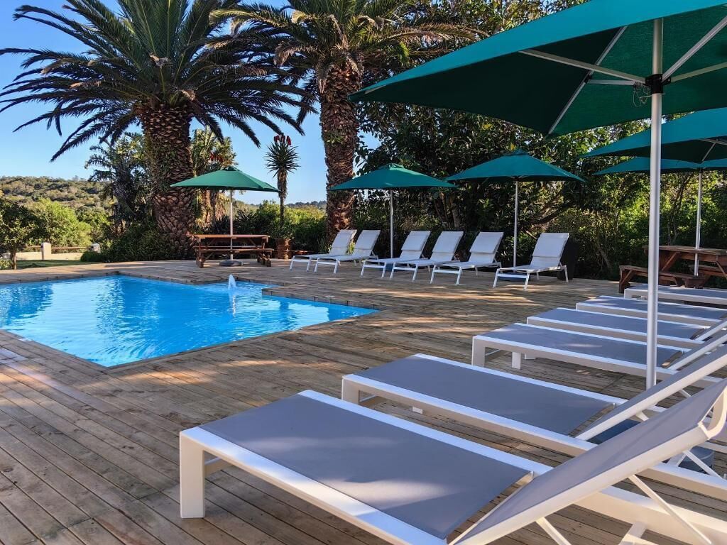 Outdoor pool, pool umbrellas, sun loungers