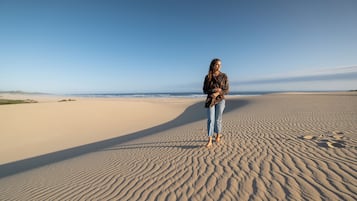 Playa privada, toallas de playa, submarinismo y pesca