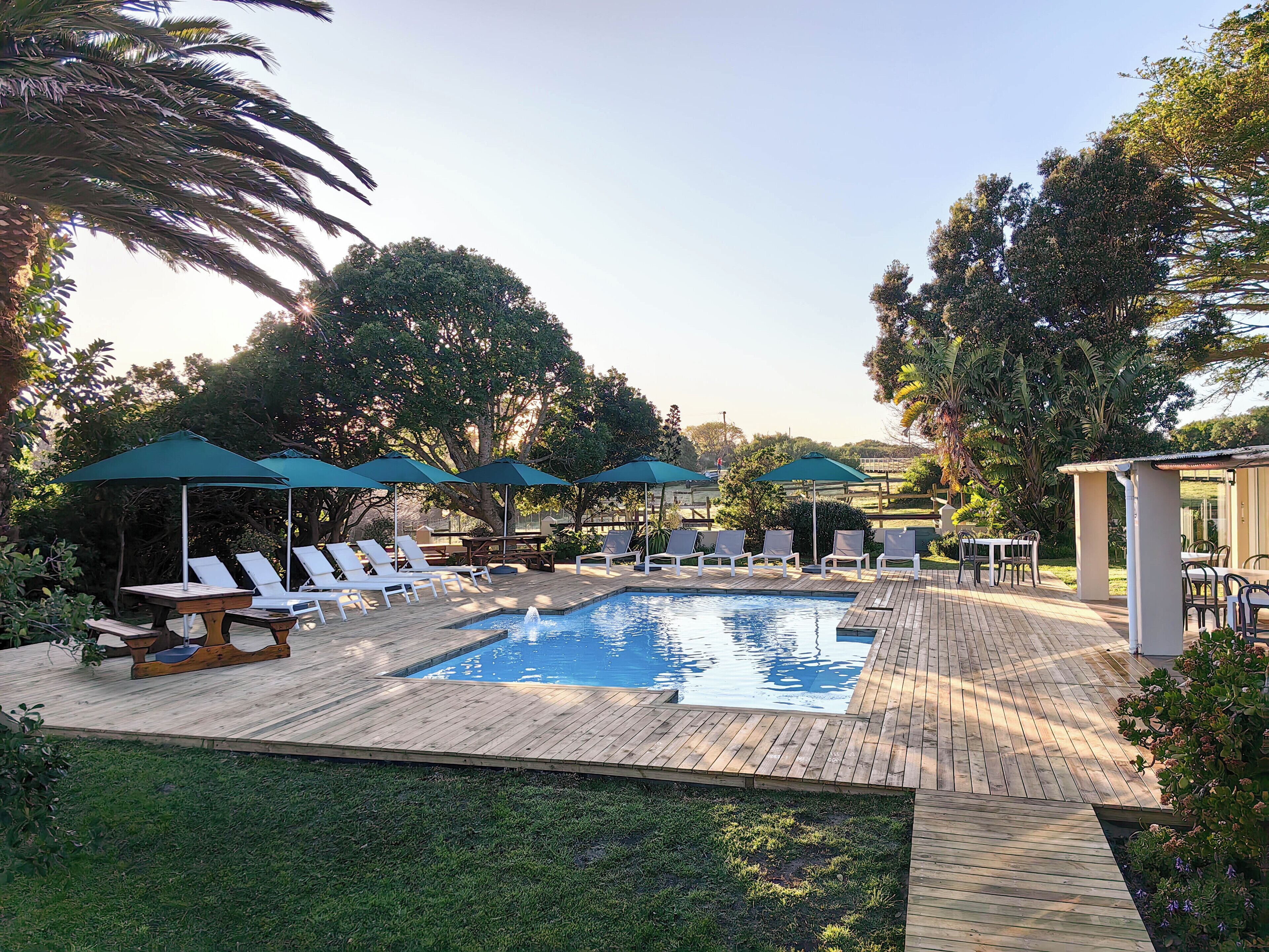 Una piscina al aire libre, sombrillas, tumbonas