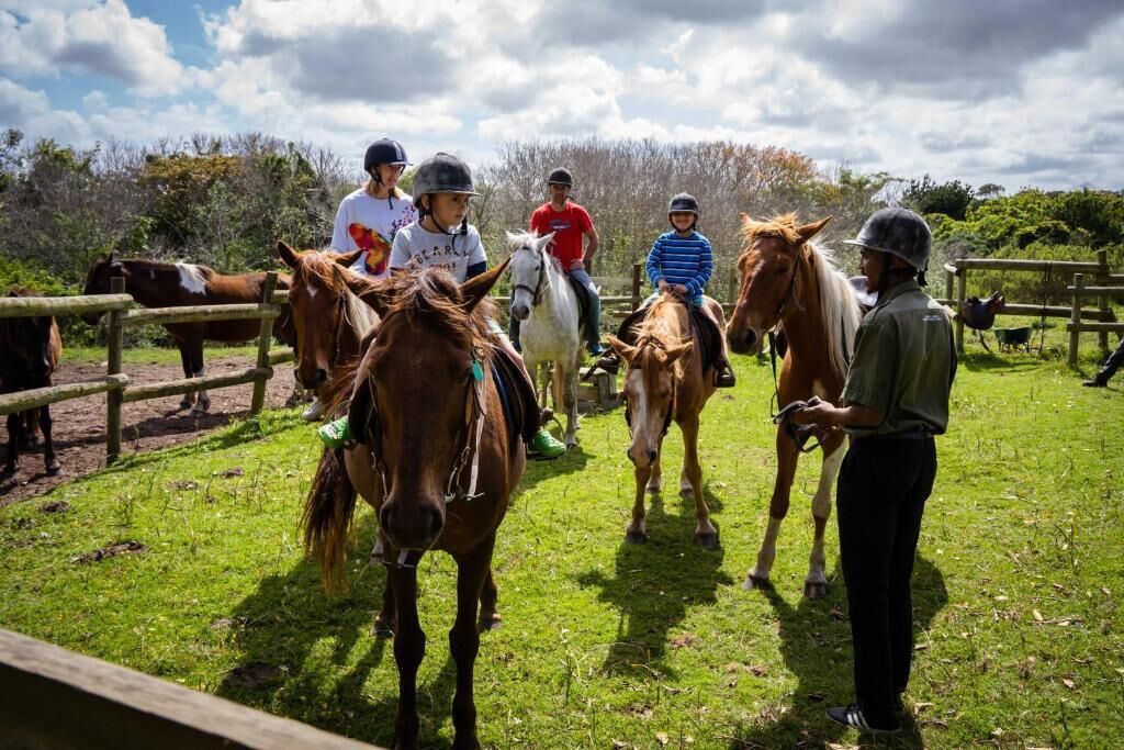 Un groupe de personnes se trouve dans un espace extérieur clôturé, en compagnie de chevaux.