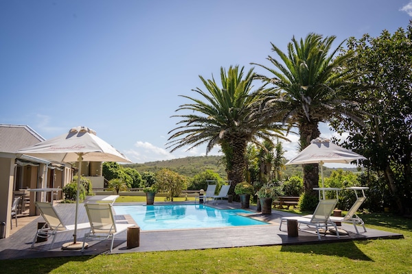 Außenpool, Sonnenschirme, Liegestühle