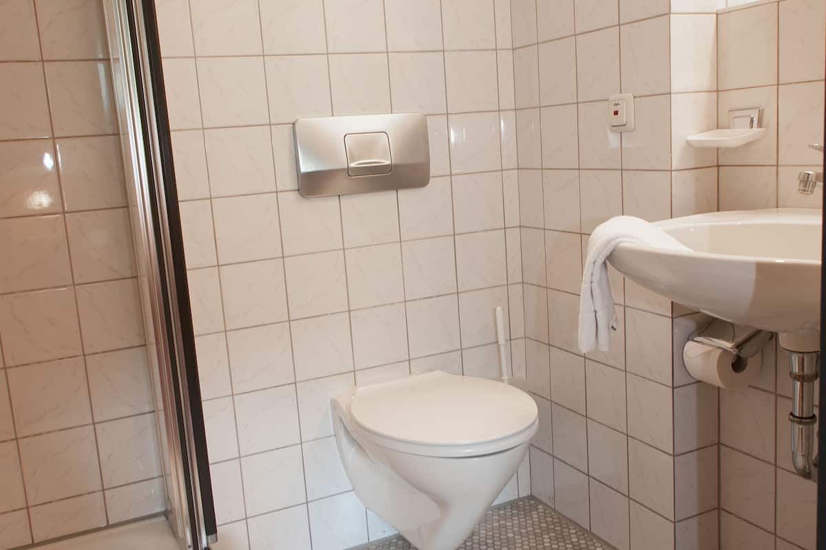 hair dryer, slippers, towels