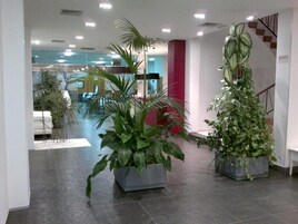 Mostrador de check-in y check-out