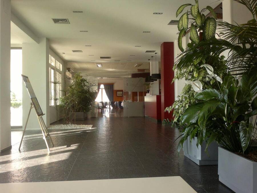 Un vestíbulo amplio con una planta grande en maceta, una recepción y vistas al interior.
