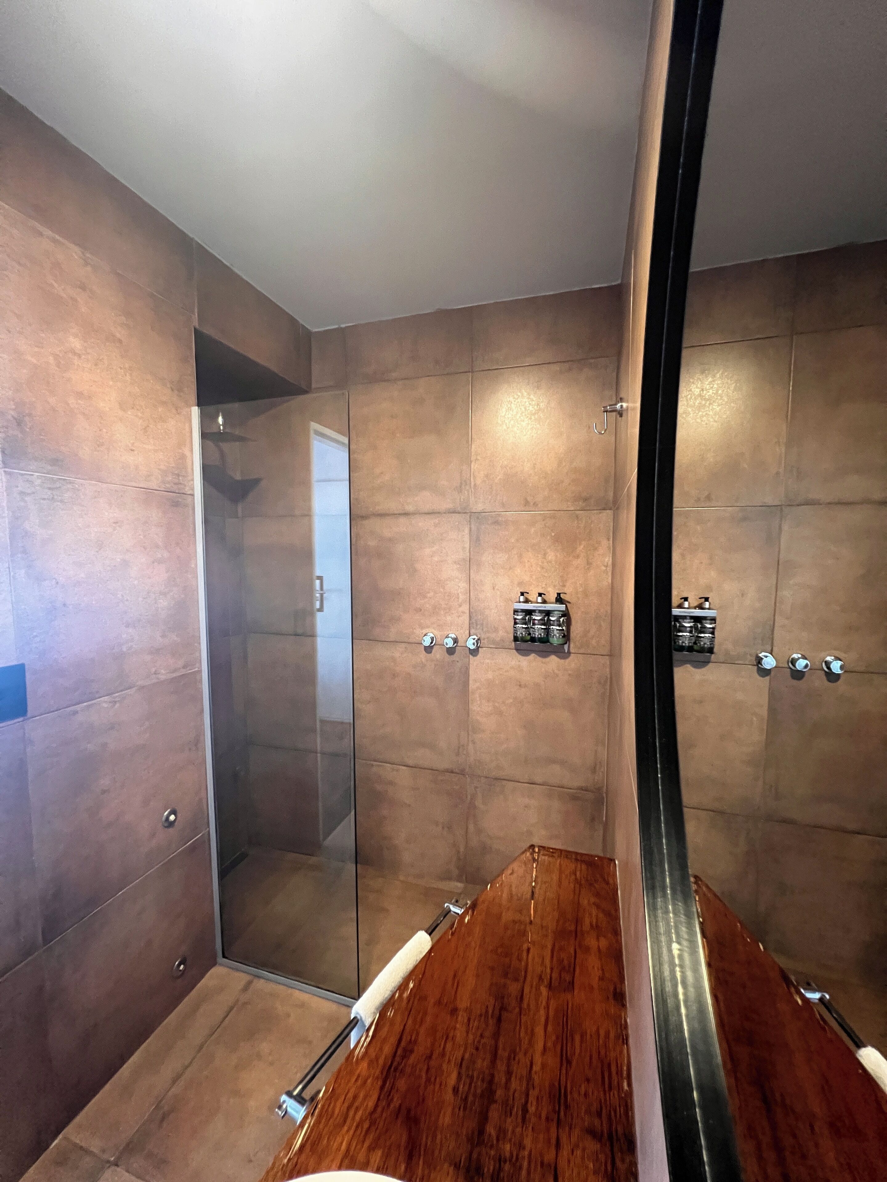 deluxe studio suite | bathroom | rainfall showerhead, free toiletries, hair dryer, bathrobes