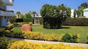 Property grounds - Apartamentos Venecia (Alcudia)