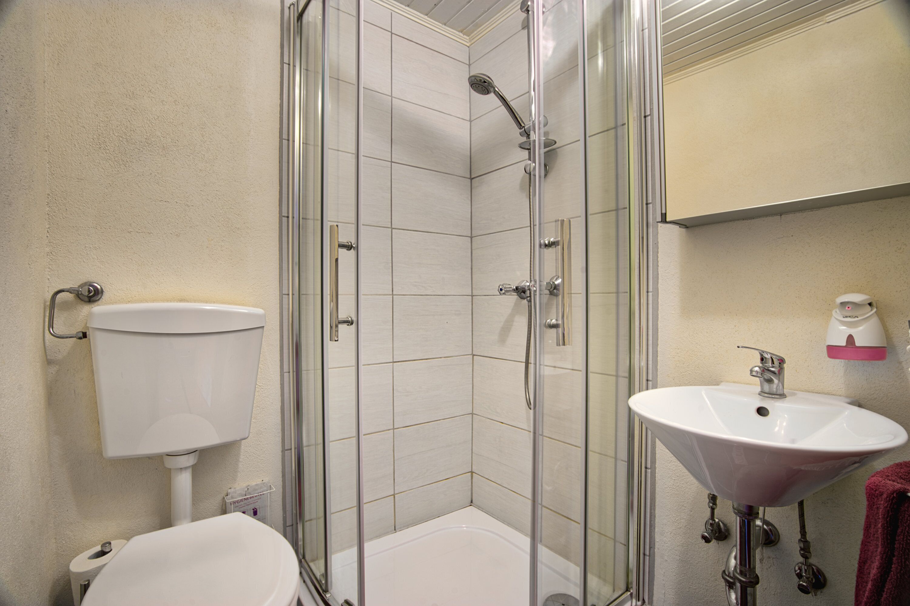 Een badkamer in hoekopstelling met een douchecabine van glas, een wit toilet en een wastafel met een roze zeepdispenser.