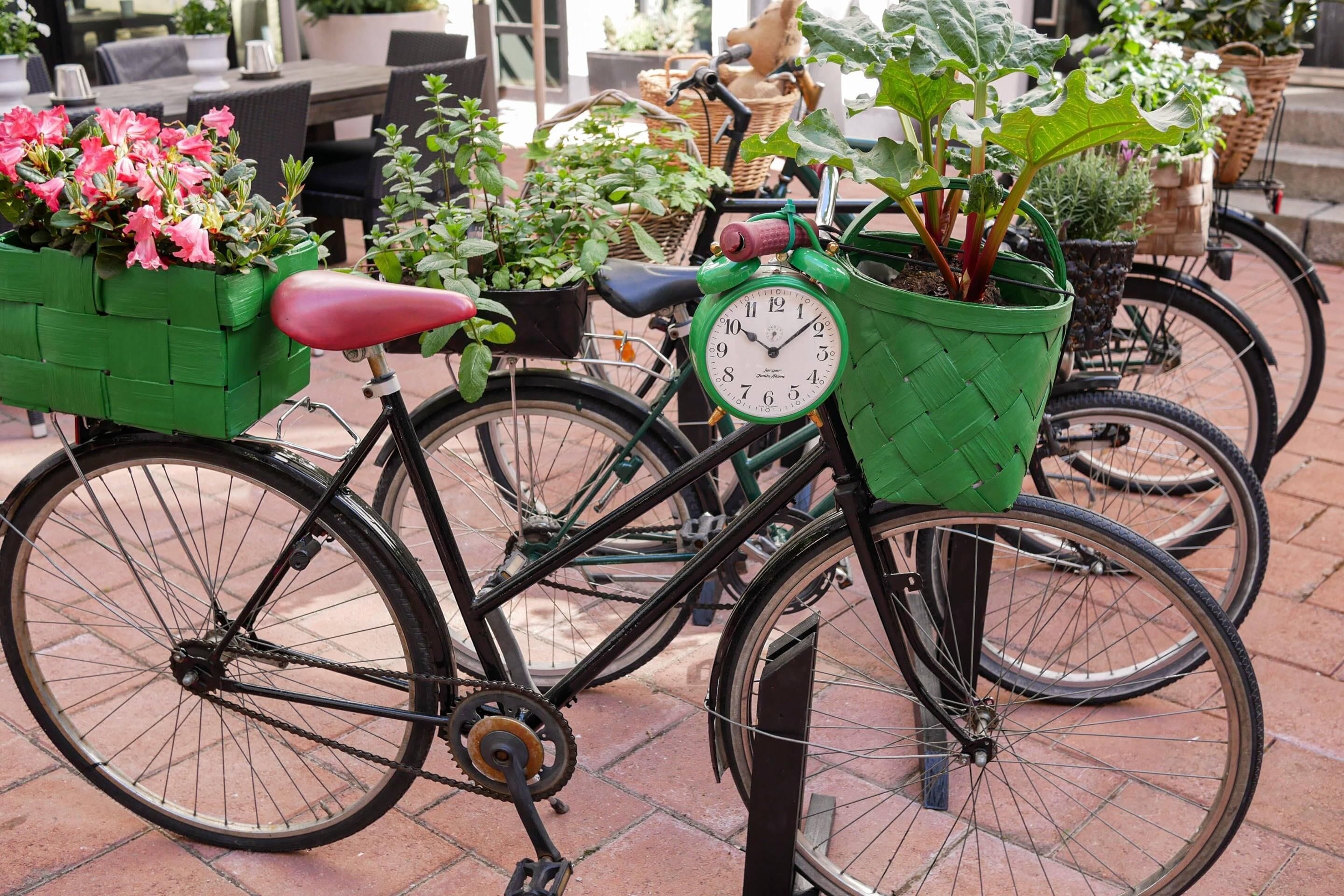 Photo - Hotel Fabian