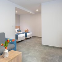 A modern room with a sofa, a small table with a vase of flowers, and a bed with a blue bedspread and a wooden headboard.
