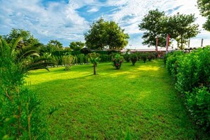 A well-maintained garden with a variety of trees and shrubs, a clear sky, and a pathway. - Martinez (Sozopol)