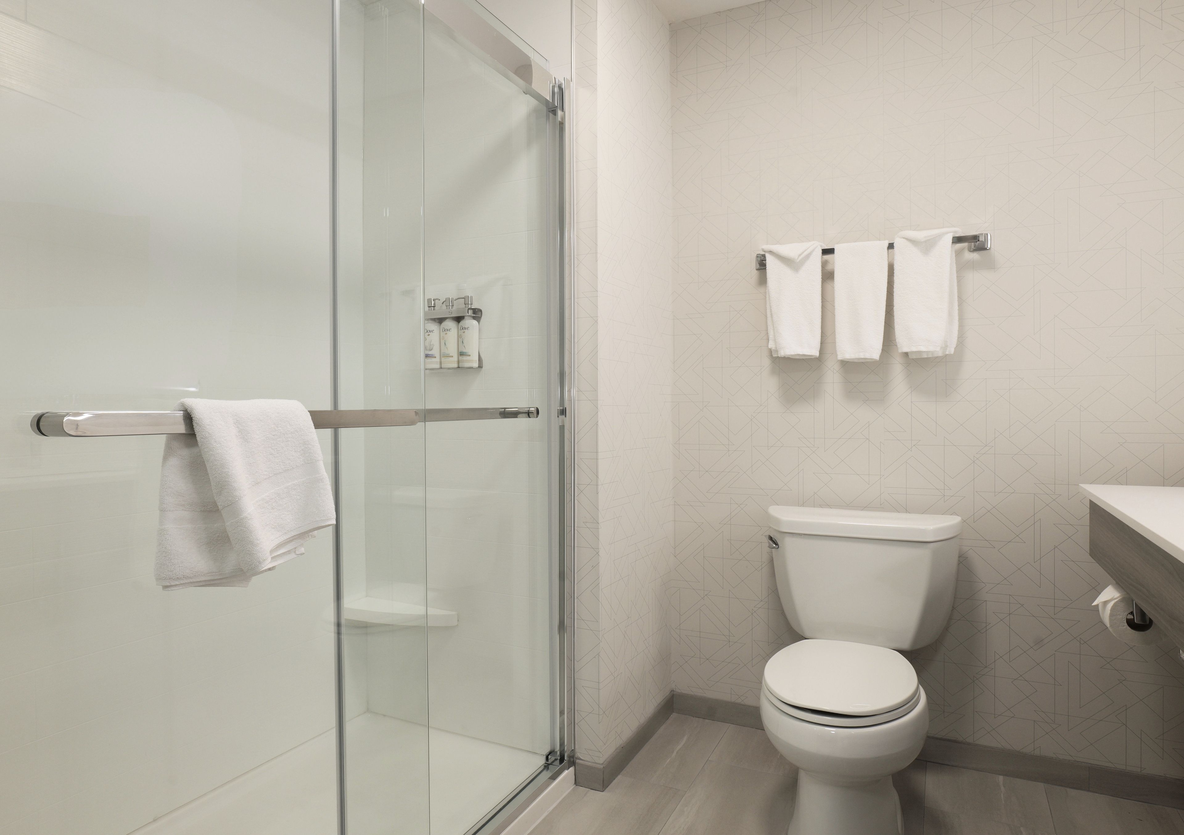 Een moderne badkamer met een douchecabine van glas, een toilet en een handdoekrek met twee handdoeken.