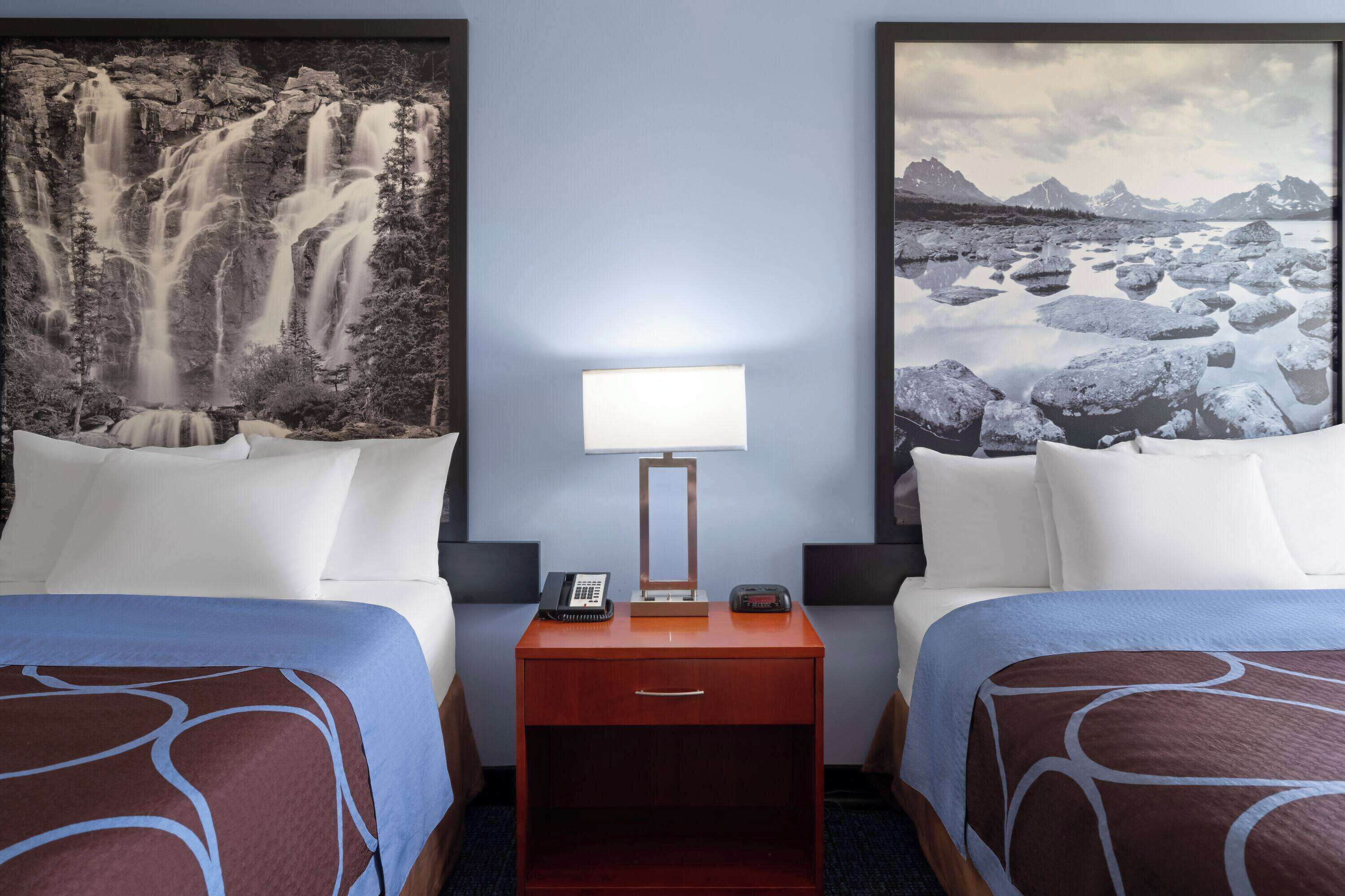 Habitación de hotel con dos camas, una mesita de noche con lámpara y dos cuadros grandes con paisajes naturales.