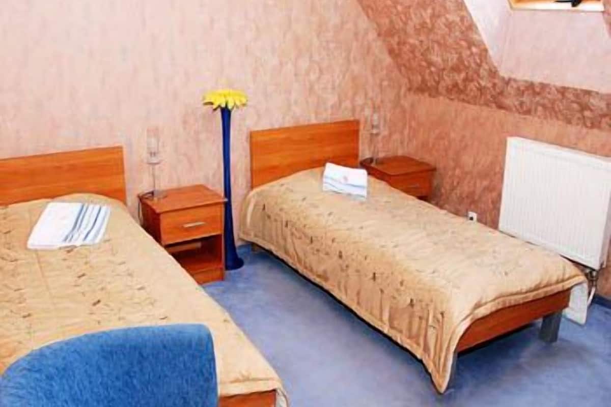 Standard Twin Room, 2 Twin Beds | Pillowtop beds, iron/ironing board (on request), WiFi (free)