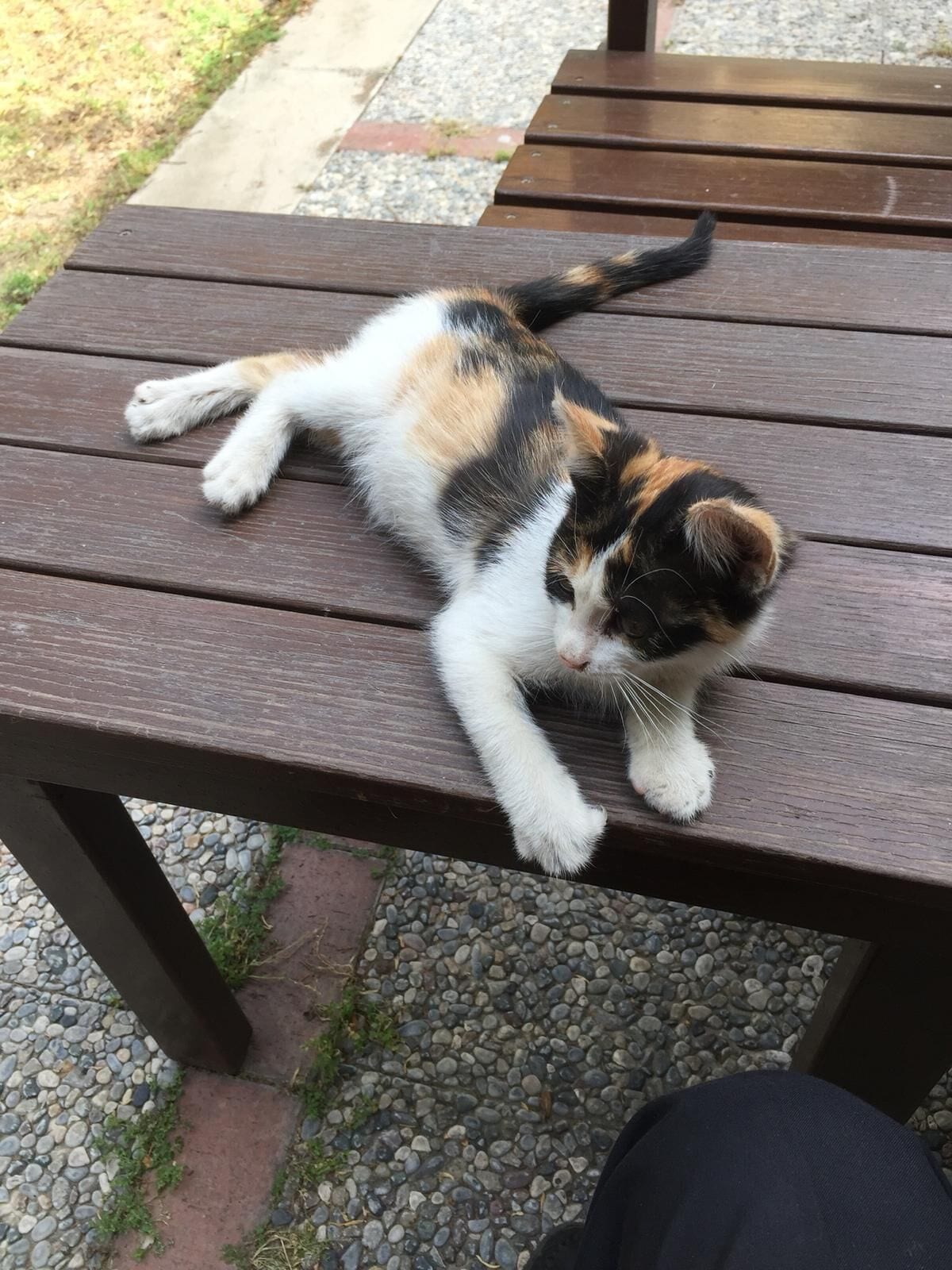 Photo - Hotel Baylan İzmir