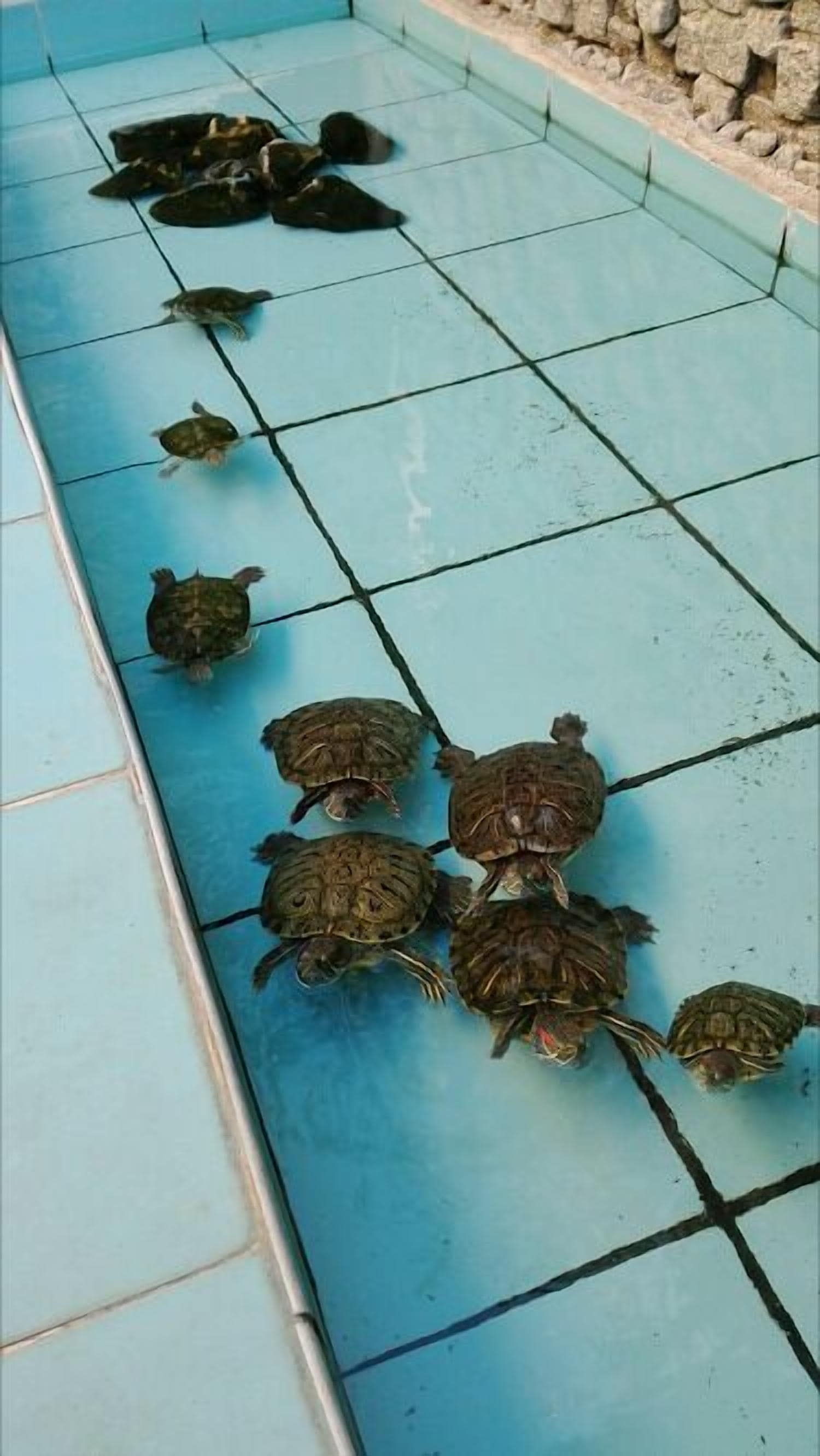 Foto - Hotel Baylan İzmir