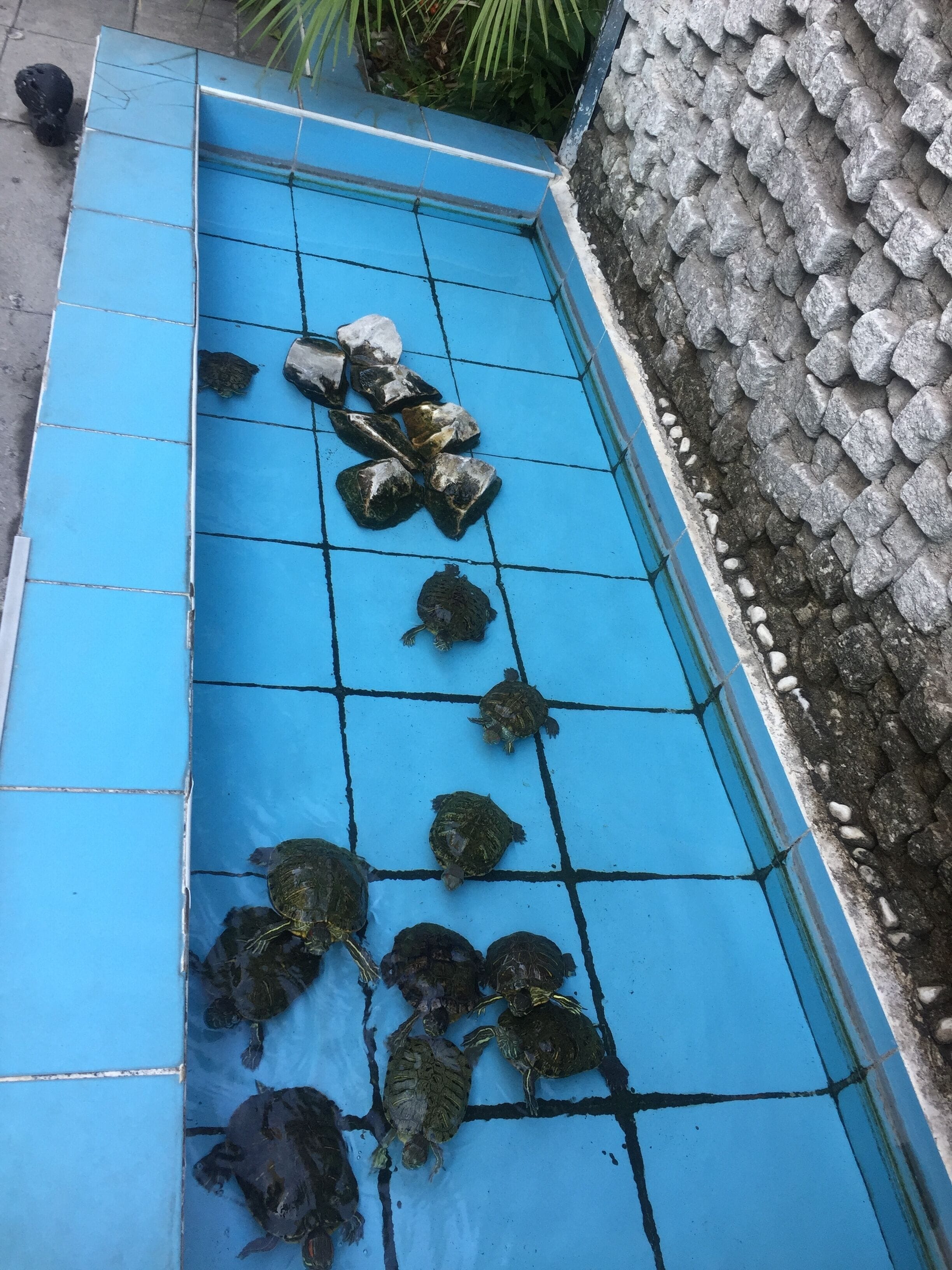 Photo - Hotel Baylan İzmir