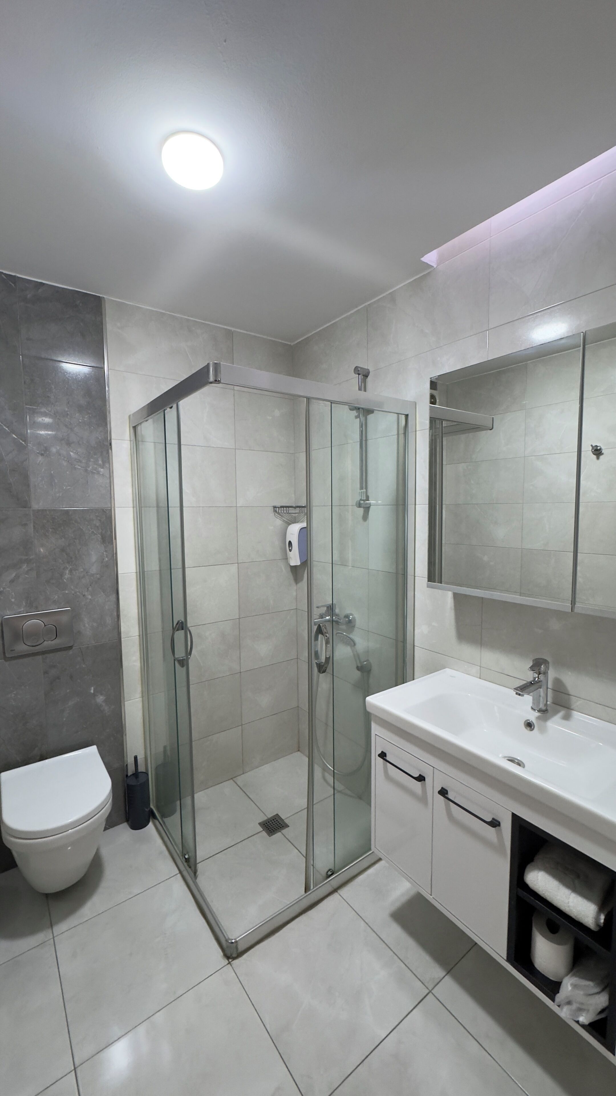 A modern bathroom with a glass-enclosed shower, a white toilet, and a sink with a mirror above it.