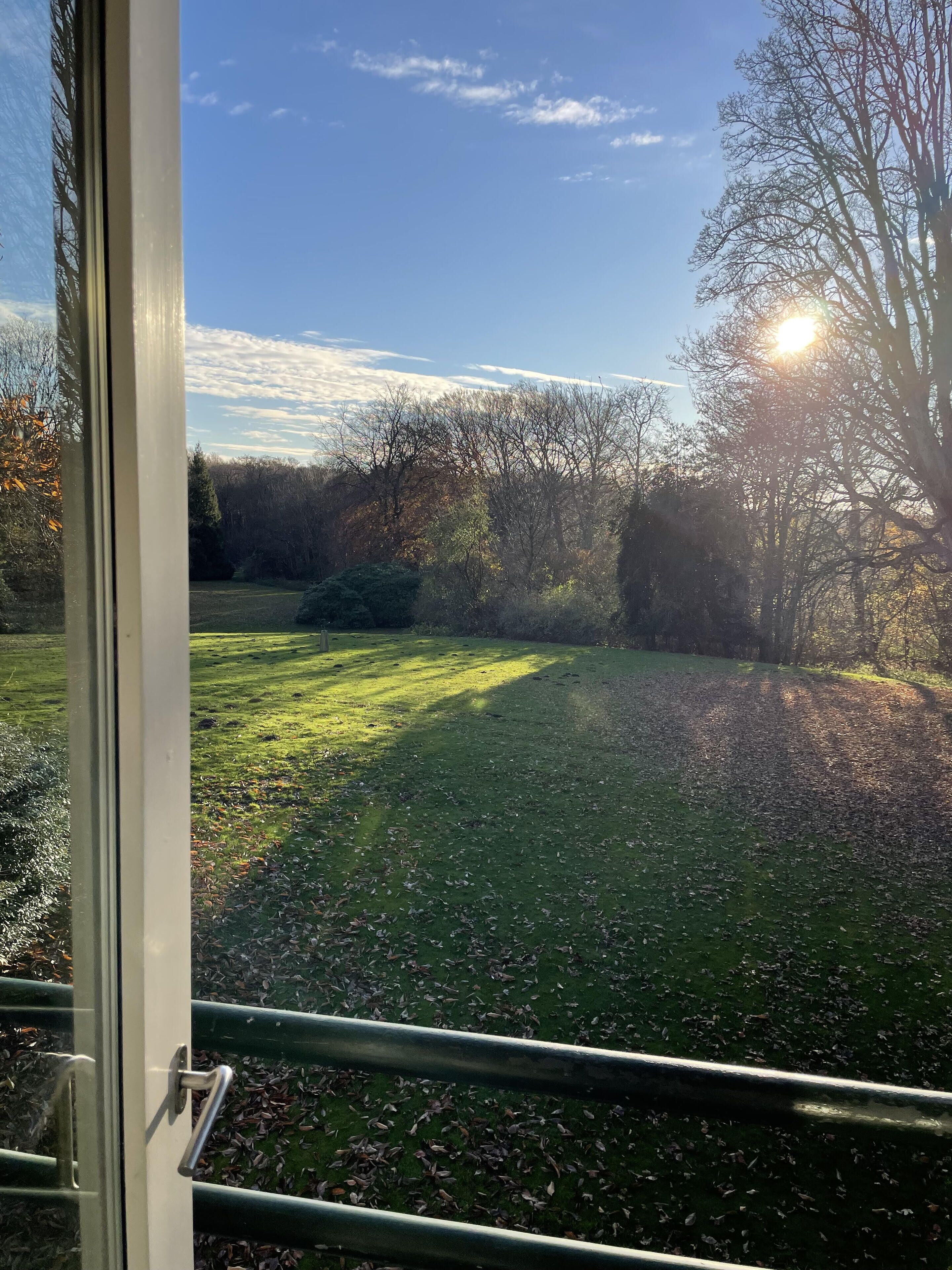 A view through a window of a grassy area with trees and a clear sky.