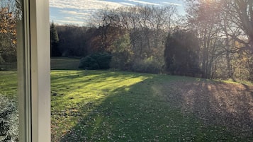 A view through a window of a grassy area with trees and a clear sky.