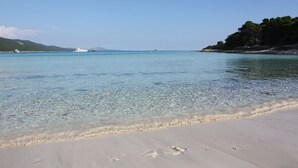 A beach with clear water, a sandy shore, and a forested area in the background.