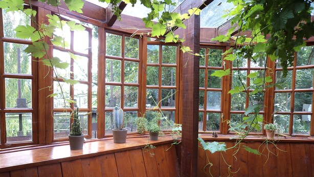 Una habitación de madera con ventanas amplias, plantas en macetas y un banco de madera.