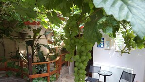 Un jardín interior con una pérgola, zona de estar y un muro de ladrillo.