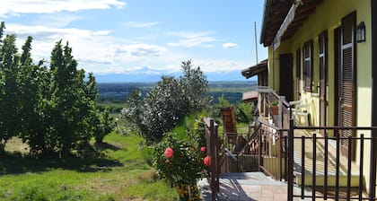 Tra Monti e Vigne