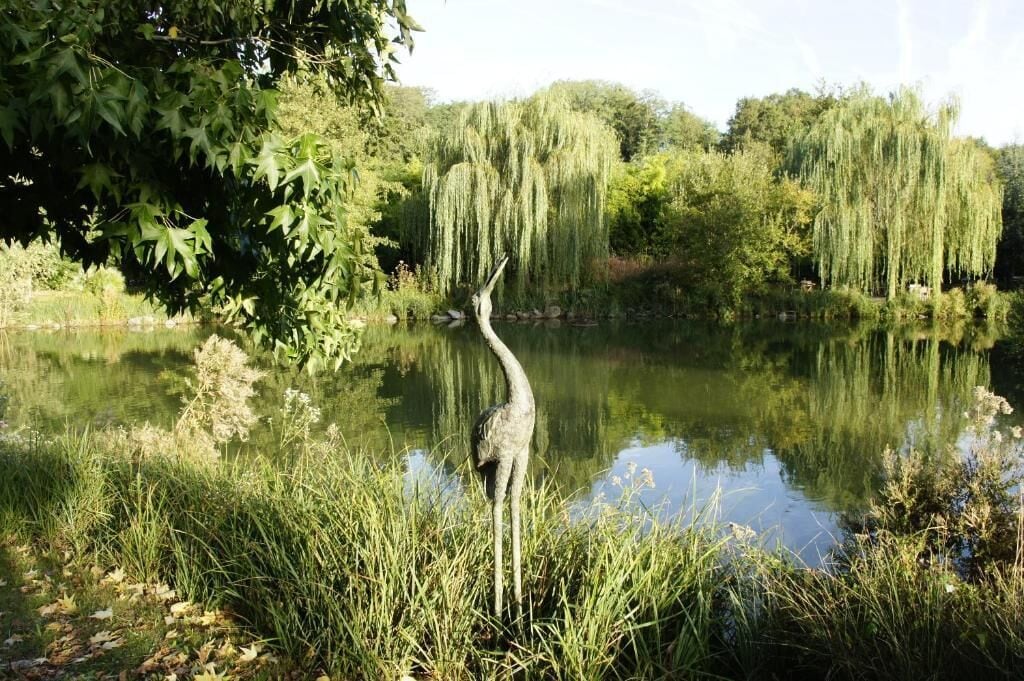 A serene pond with tall weeping willow trees and a heron standing by the water's edge.