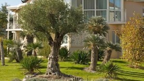 A two-story house with a red-tiled roof, a balcony, and a well-maintained garden with various shrubs and a palm tree. - Les Jardins de Beauval (Seigy)