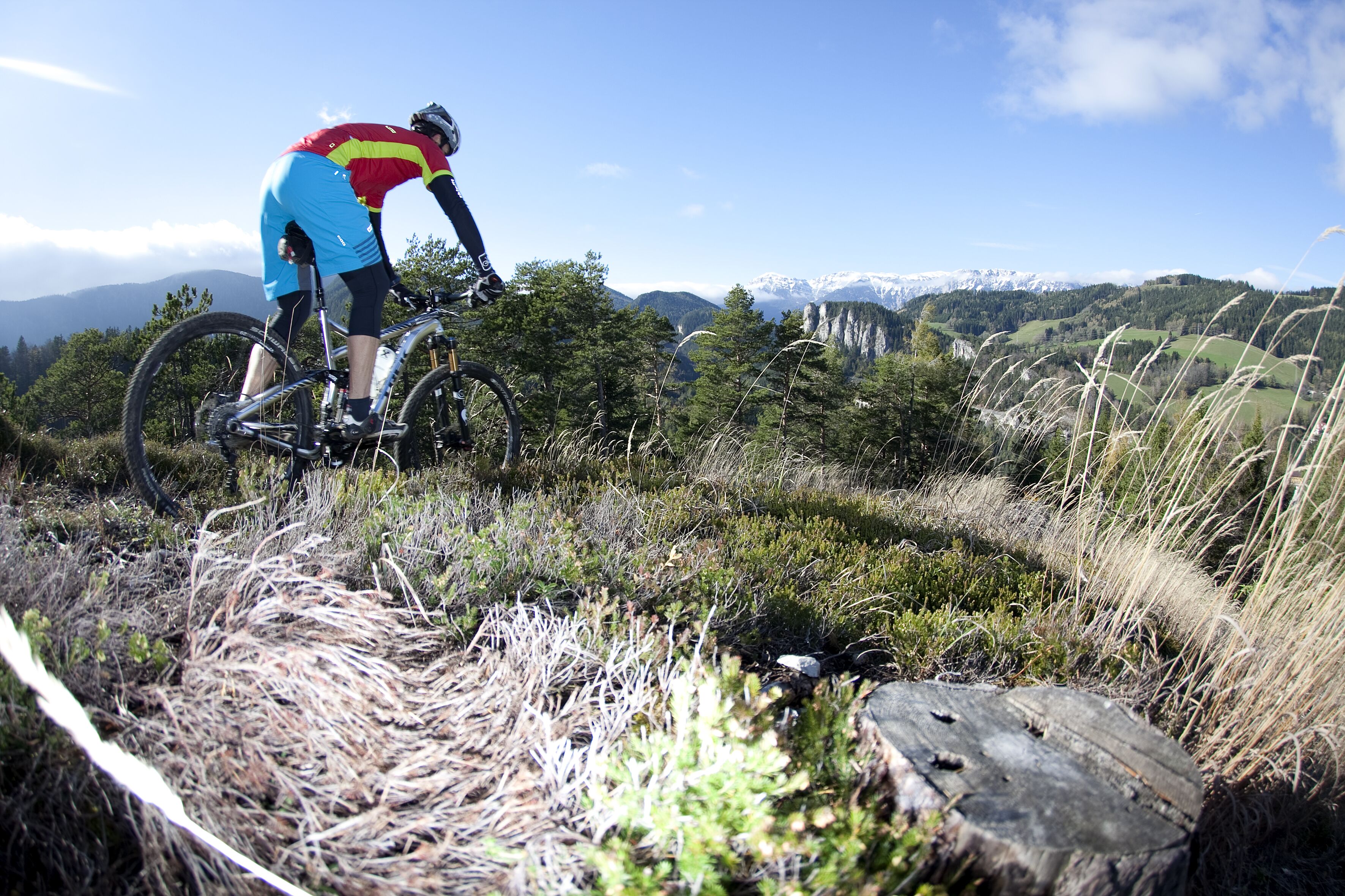 A mountain biker on a trail with a scenic view of mountains and trees.
