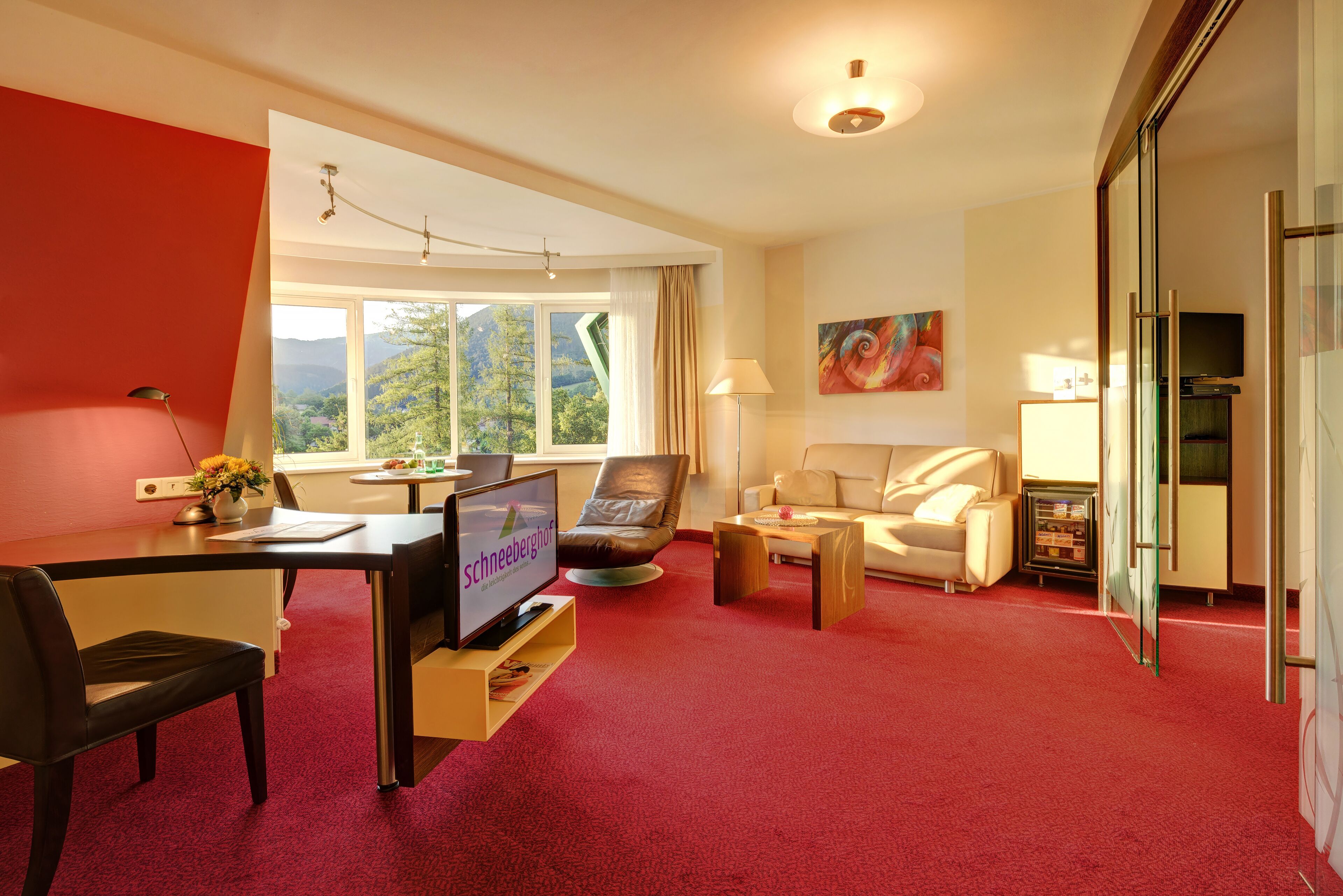 junior suite | living area | 27-inch tv with satellite channels