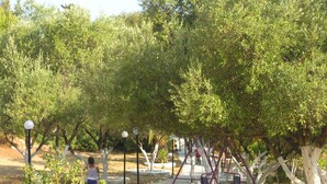 Parco della struttura
