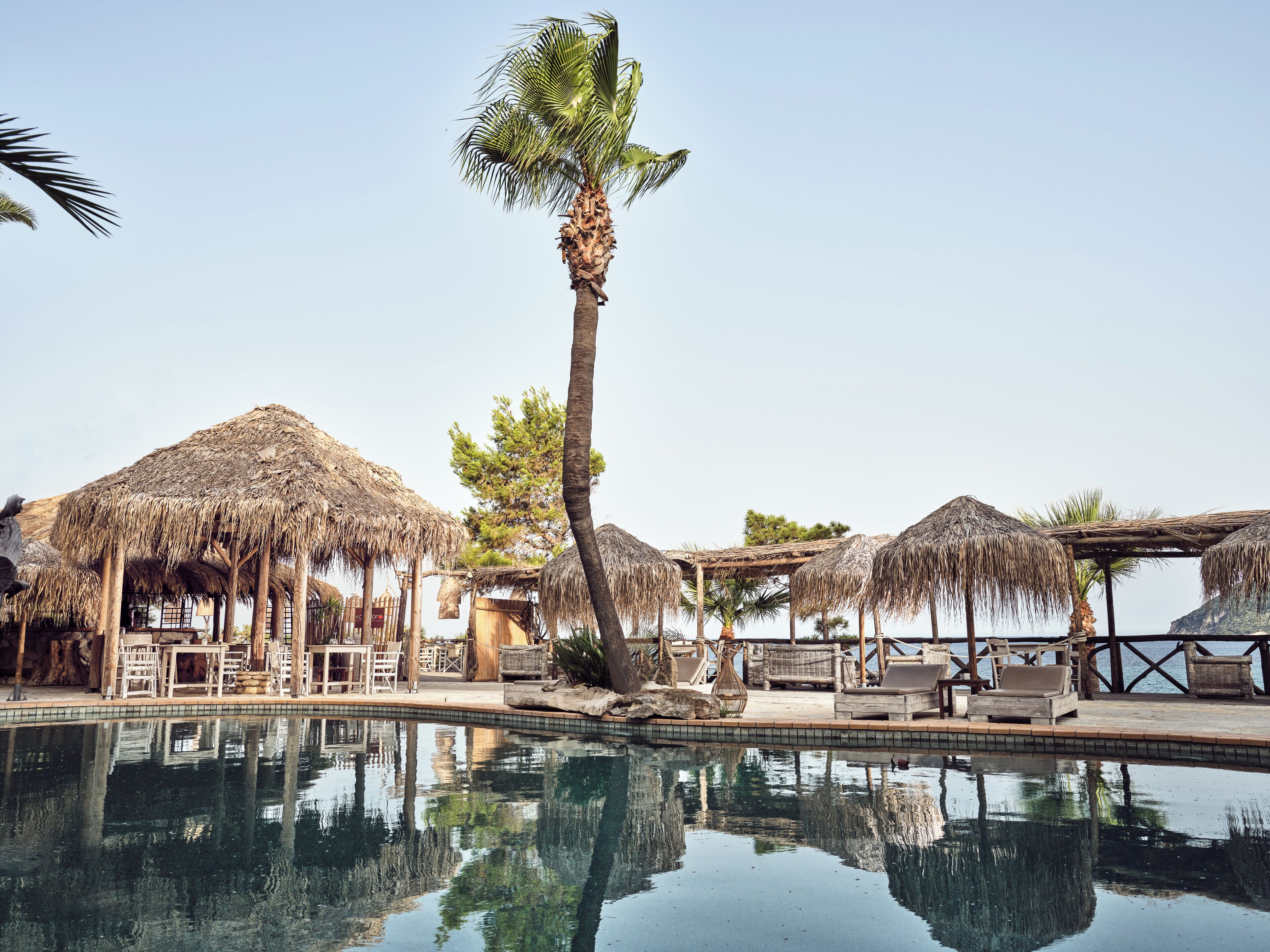 A pool area with thatched umbrellas, lounge chairs, and a palm tree.