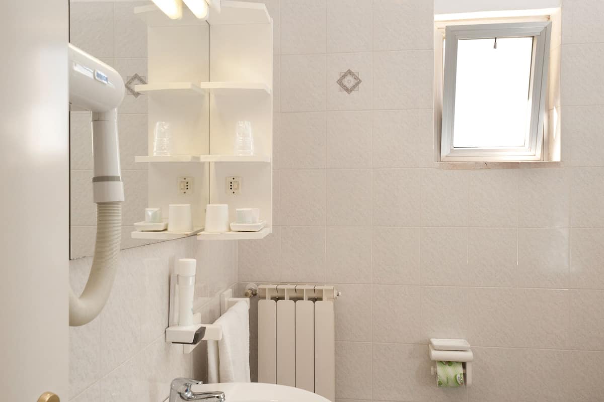 shower, free toiletries, hair dryer, bidet