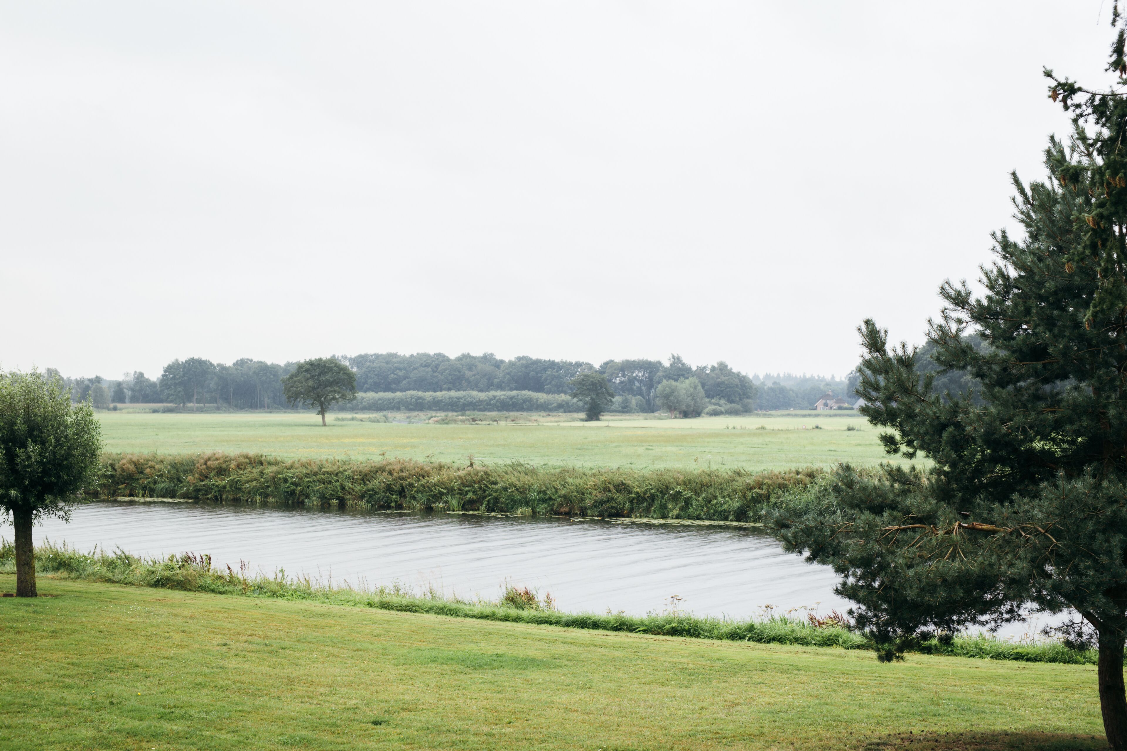 A view of a river with a tree on the right and a grassy field in the foreground.