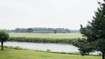 A view of a river with a tree on the right and a grassy field in the foreground.