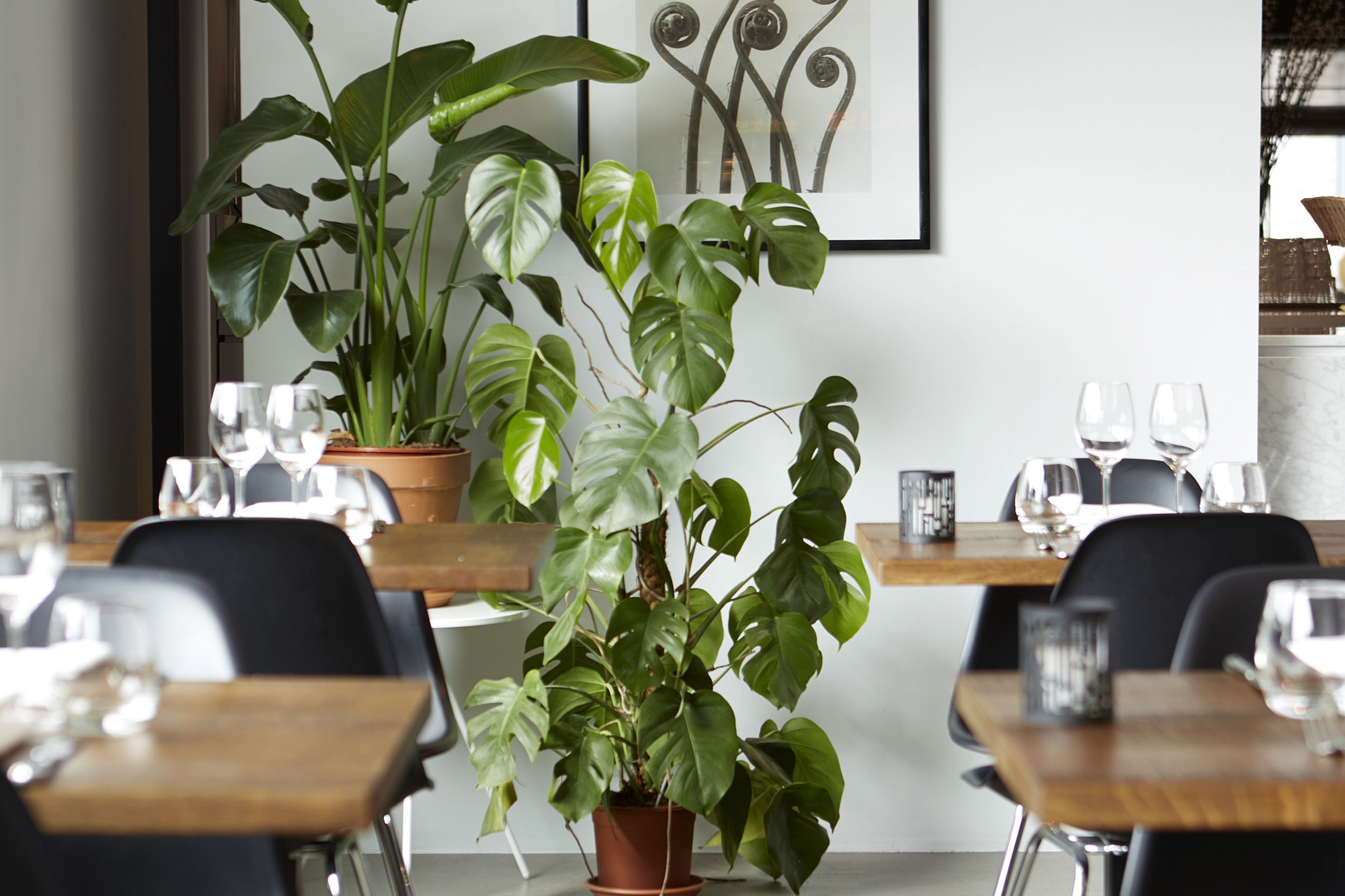 Un comedor con mesas de madera, plantas en macetas y cuadros en la pared.