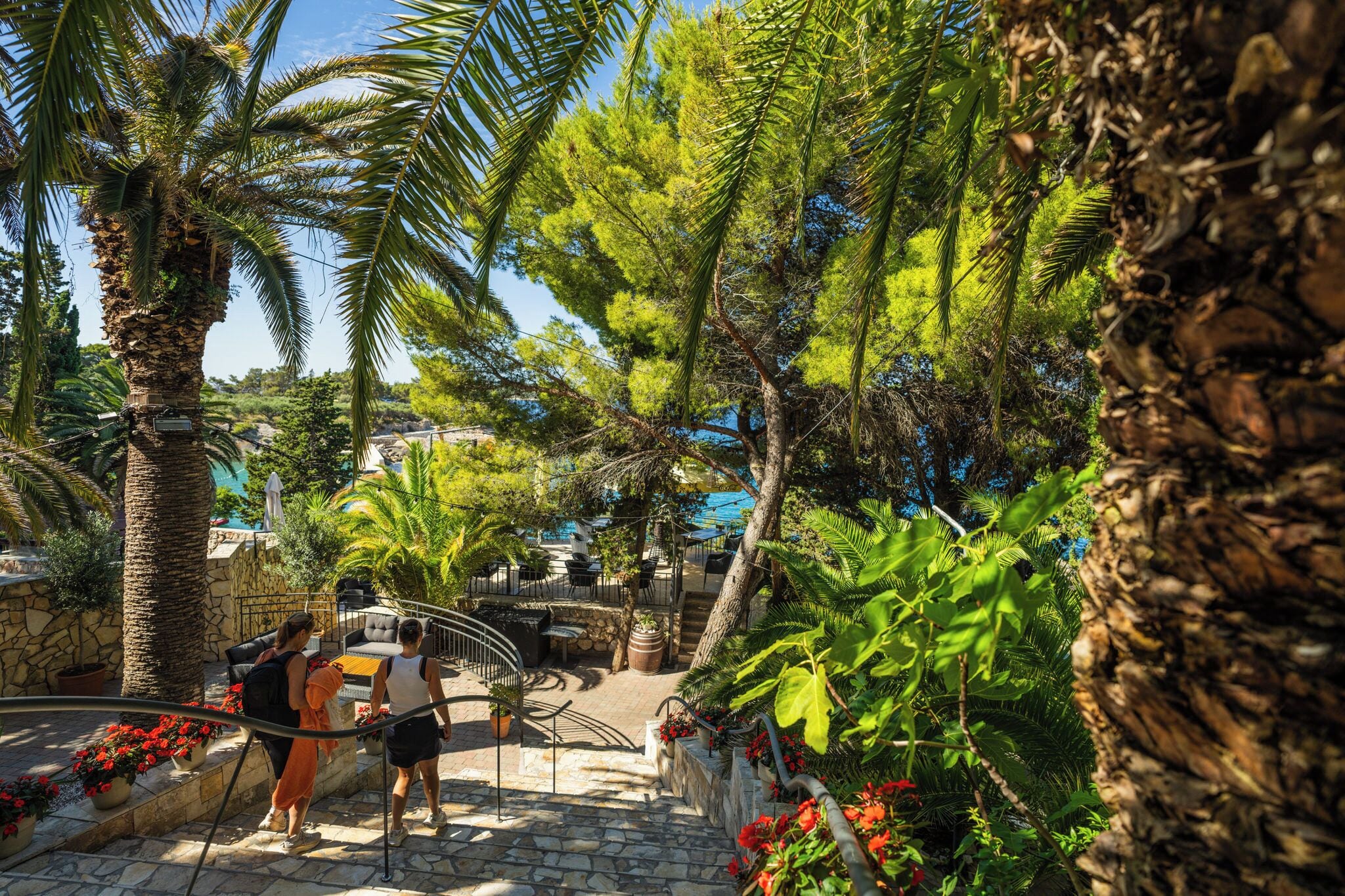 Un sendero en un resort con palmeras, asientos al aire libre y una piscina al fondo.