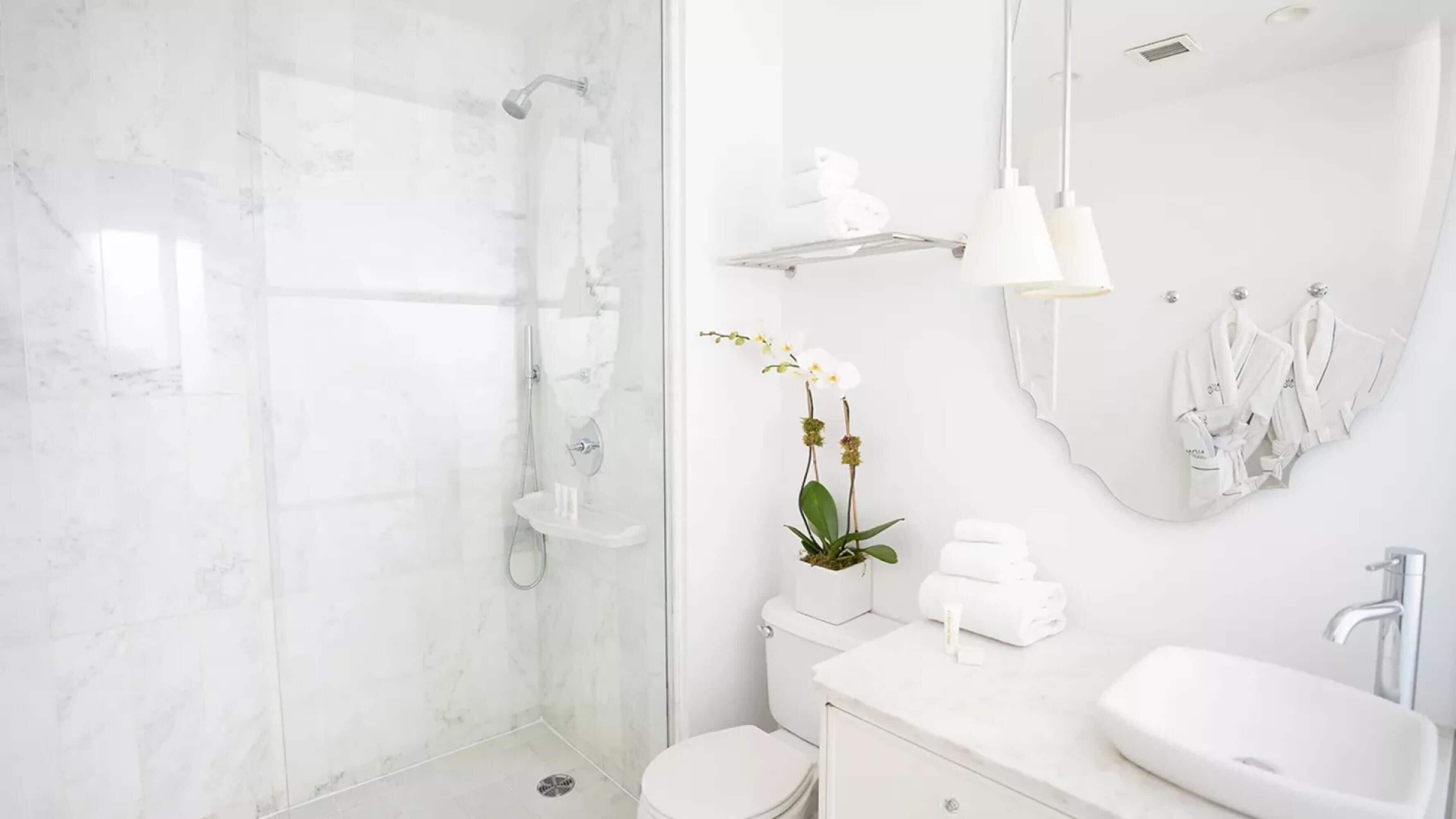 suite, 1 queen bed with sofa bed | bathroom | shower, designer toiletries, hair dryer, towels