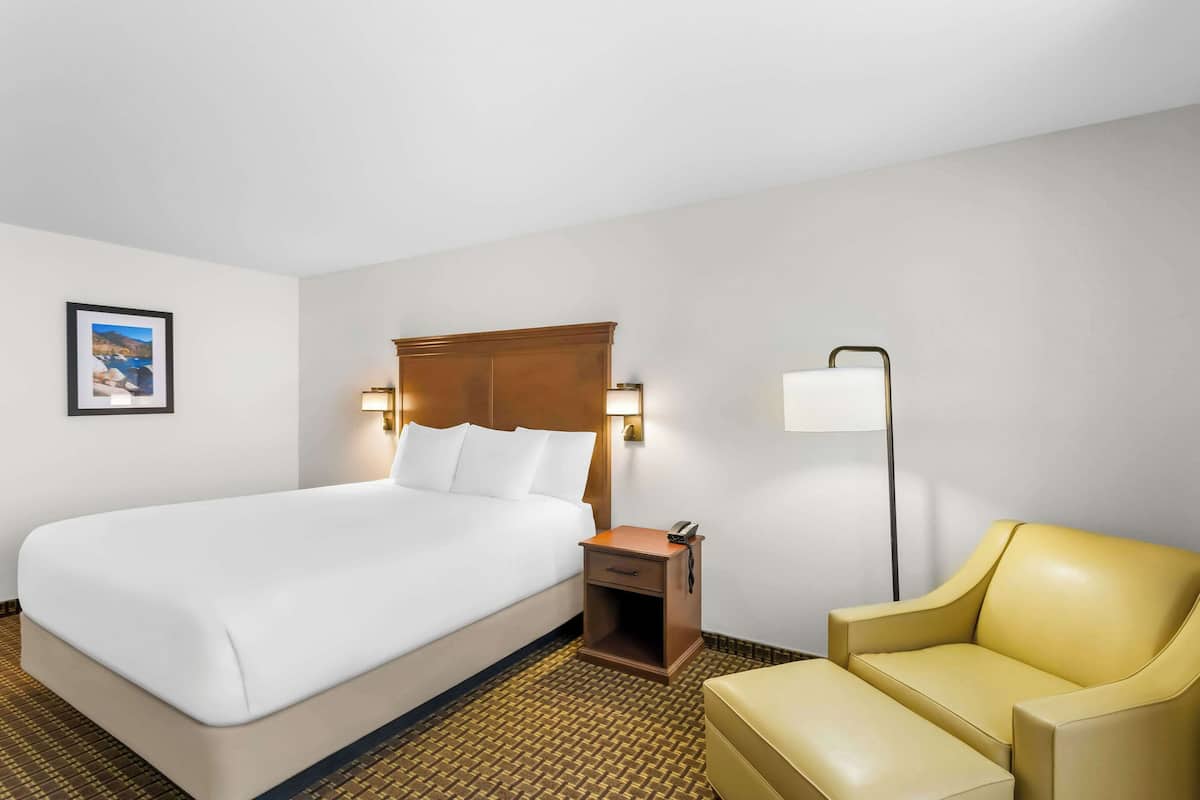 A hotel room with a large bed, a bedside table with a lamp, a chair, and a picture on the wall.