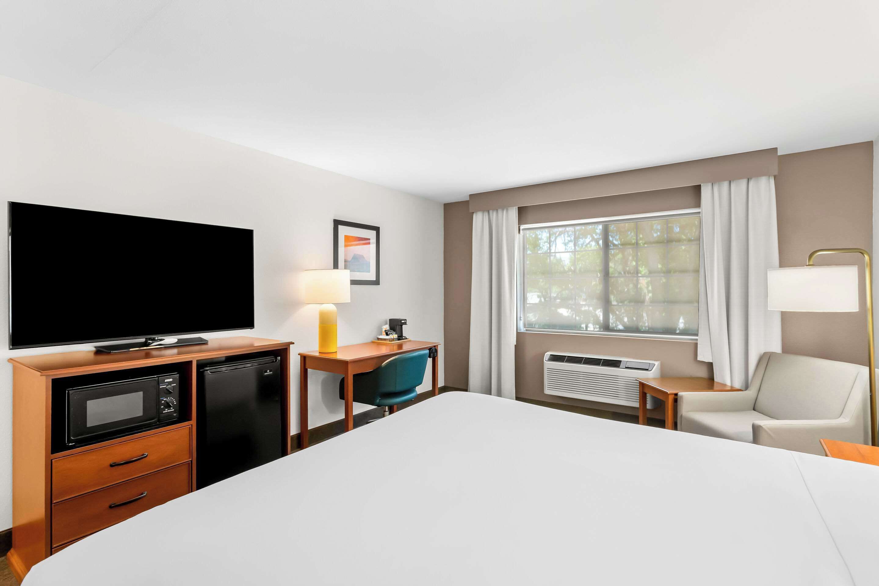 suite, 1 king bed, non smoking | premium bedding, pillow-top beds, in-room safe, desk