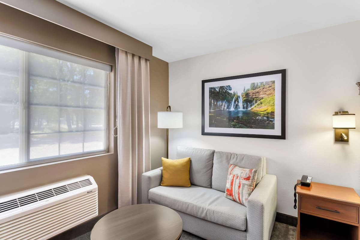 A hotel room with a sofa, a small table, a bedside table with a lamp, a framed picture on the wall, and a window with curtains.