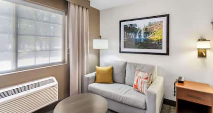 Comfort Inn & Suites Susanville